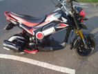Honda Navi 2018