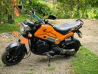 Honda Navi 2018