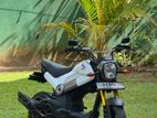 Honda Navi 2018