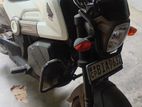 Honda Navi 2019