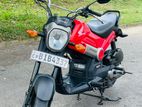 Honda Navi 2017