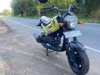 Honda Navi 2019