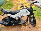 Honda Navi 2019
