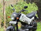 Honda Navi 2019