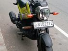 Honda Navi 2019