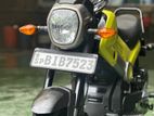 Honda Navi 2019