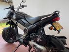 Honda Navi 2019