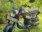 Honda Navi 2019
