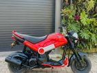 Honda Navi 2019