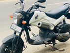 Honda Navi 2019