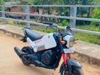 Honda Navi 2019