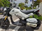 Honda Navi 2019