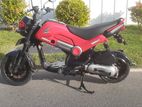 Honda Navi 2019