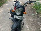 Honda Navi 2019