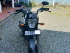 Honda Navi 2019