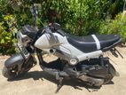 Honda Navi 2019