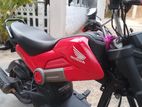 Honda Navi 2019