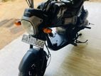Honda Navi 2019