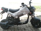 Honda Navi 2019
