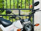 Honda Navi 2019