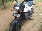 Honda Navi 2019