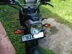Honda Navi 2019
