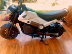 Honda Navi 2019