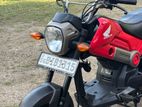 Honda Navi 2019