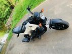 Honda Navi 2019