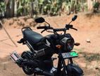 Honda Navi 2020
