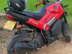 Honda Navi 2016