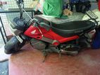 Honda Navi 2017