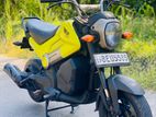 Honda Navi BEU Number 2017