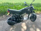 Honda Navi BFO 3543 2017
