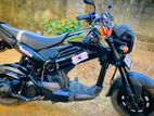 Honda Navi 2017