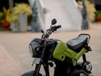 Honda Navi 2019
