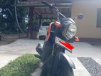 Honda Navi 2017