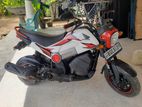 Honda Navi 2018