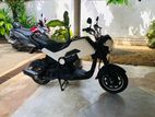 Honda Navi 2018