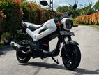 Honda Navi 2017