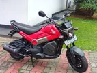 Honda Navi 2019