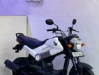 Honda Navi Low Mileage 2017