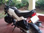 Honda Navi 2017