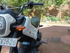 Honda Navi NAVY 2016