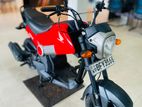 Honda Navi New 2017