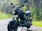 Honda Navi 2017