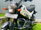 Honda Navi 2017