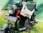 Honda Navi Onlight 2017