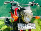 Honda Navi Onlight 2017