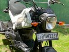 Honda Navi Onlight 2017